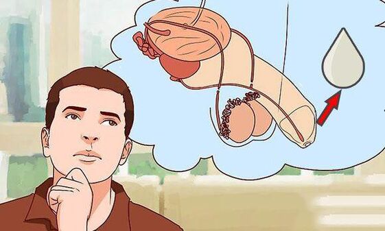 lubrificazione della lubrificazione quando eccitato