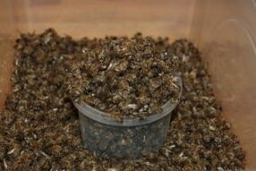 Bee scavato per aumentare la potenza