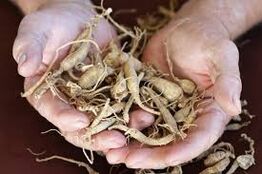 aumentare la potenza negli uomini con mezzi naturali